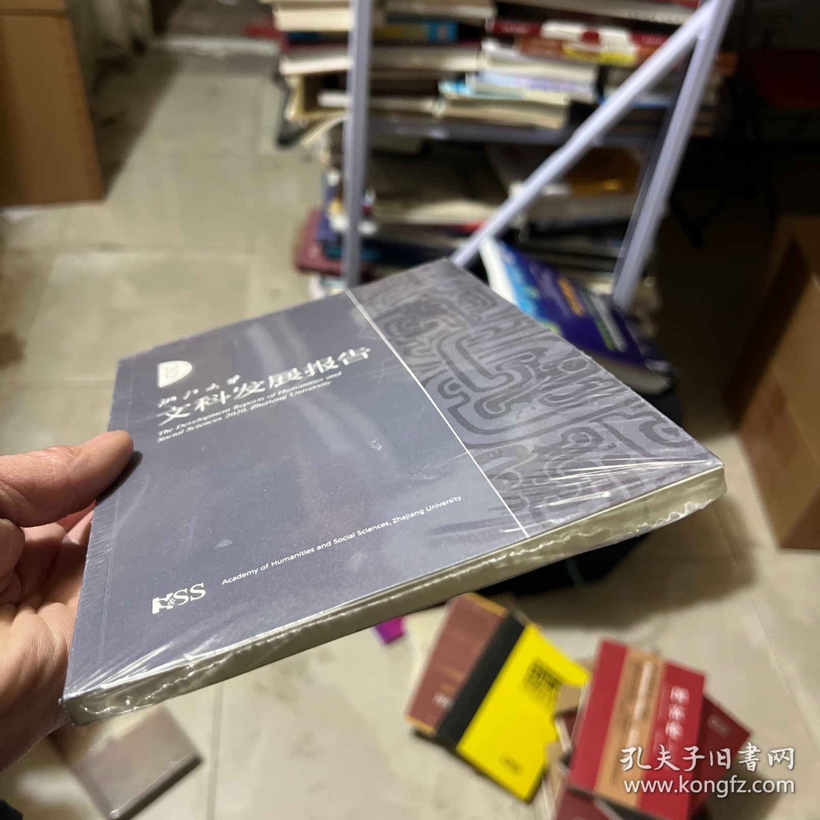 浙江大学文科发展报告2020