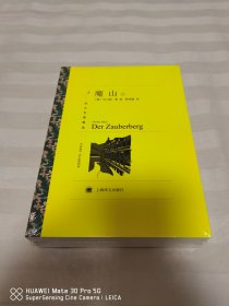 魔山 译文名著精选 上下 全新塑封