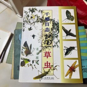 国画训练新编系列：千姿百态画草虫