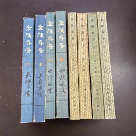 金陵春梦1-8集全