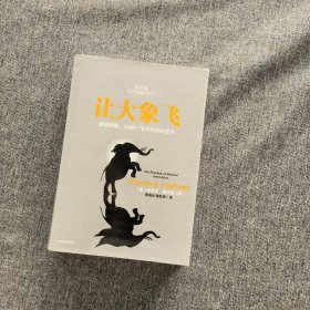 让大象飞:激进创新，让你一飞冲天的创业术