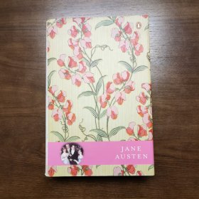 Jane Austen Deluxe Bind Up