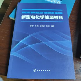 新型电化学能源材料