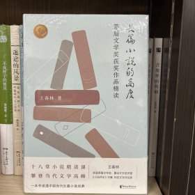 长篇小说的高度：茅盾文学奖获奖作品精读（多届茅盾文学奖评委王春林的长篇小说精读课）