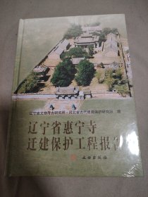 辽宁省惠宁寺迁建保护工程报告(精)