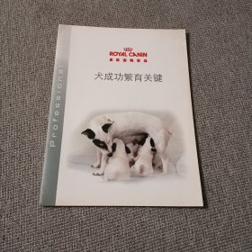 犬成功繁育关键