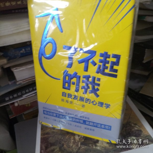 了不起的我：自我发展的心理学