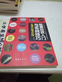 股票投资入门与实战技巧：从零开始学炒股