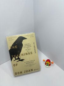 巫士唐望的教诲：踏上心灵秘境之旅