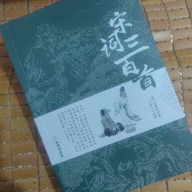 宋词三百首注释全解宋词300首中小学生课外书九年级初中生国学古典