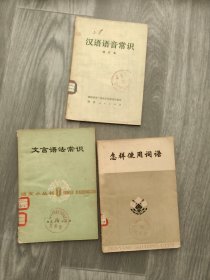 怎样使用词语+汉语语音常识+文言语法常识（3本合售）