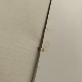 黄帝内经十二时辰养生法