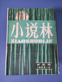 小说林1982年第4期