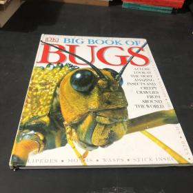 Big Book of Bugs