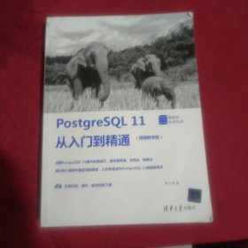 PostgreSQL11从入门到精通（视频教学版）/数据库技术丛书