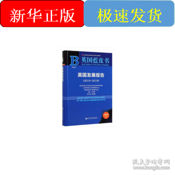 英国发展报告