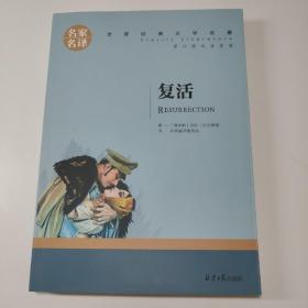 复活 中小学生课外阅读书籍世界经典文学名著青少年儿童文学读物故事书名家名译原汁原味读原著