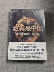 这就是中国:走向世界的中国力量