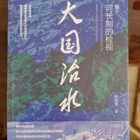 大国治水：基于河长制的检视
