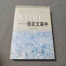 名士自白:我在文革中 （上）