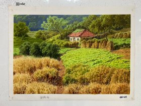 朝鲜油画 金恩石/锡 作品“乡村风景”