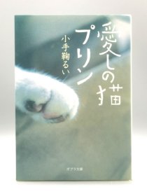 《亲爱的猫咪普林：小手鞠るい爱猫随笔集》 愛しの猫プリン 小手鞠るい 日文原版书