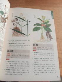 本草纲目：本草纲目（精华本）