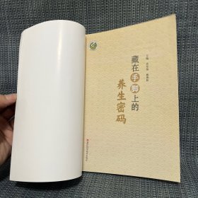 藏在手脚上的养生密码