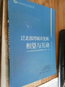 第七届泛北部湾经济合作论坛丛书 泛北部湾城市发展:相望与互动(3)