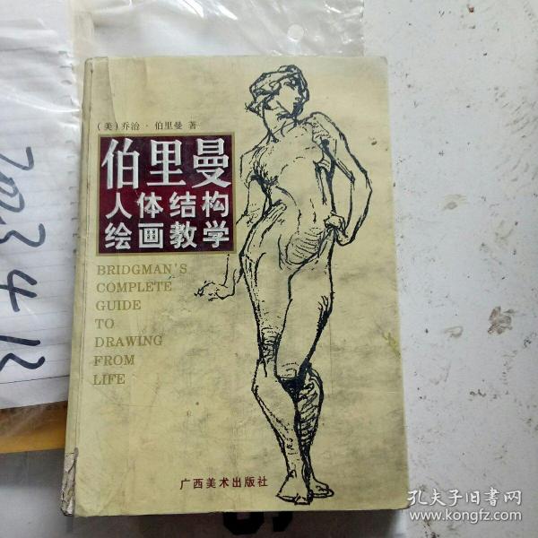 伯里曼人体结构绘画教学