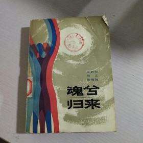 魂兮归来 下册