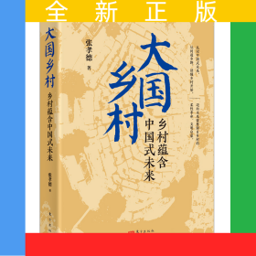 大国乡村：乡村蕴含中国式未来
