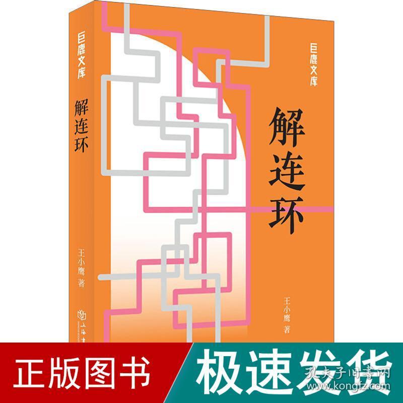 解连环 中国现当代文学 王小鹰 新华正版