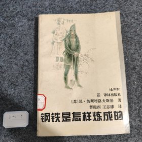 钢铁是怎样炼成的