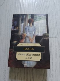 Anna Karenina - II. Cilt 《安娜·卡列尼娜》（第二卷）【土耳其语版】