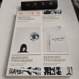 Branding Typography  品牌设计中的版式 平面设计作品集书籍