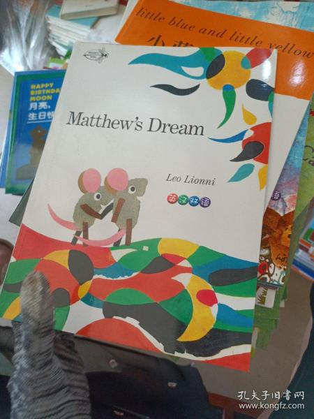 Matthew's Dream