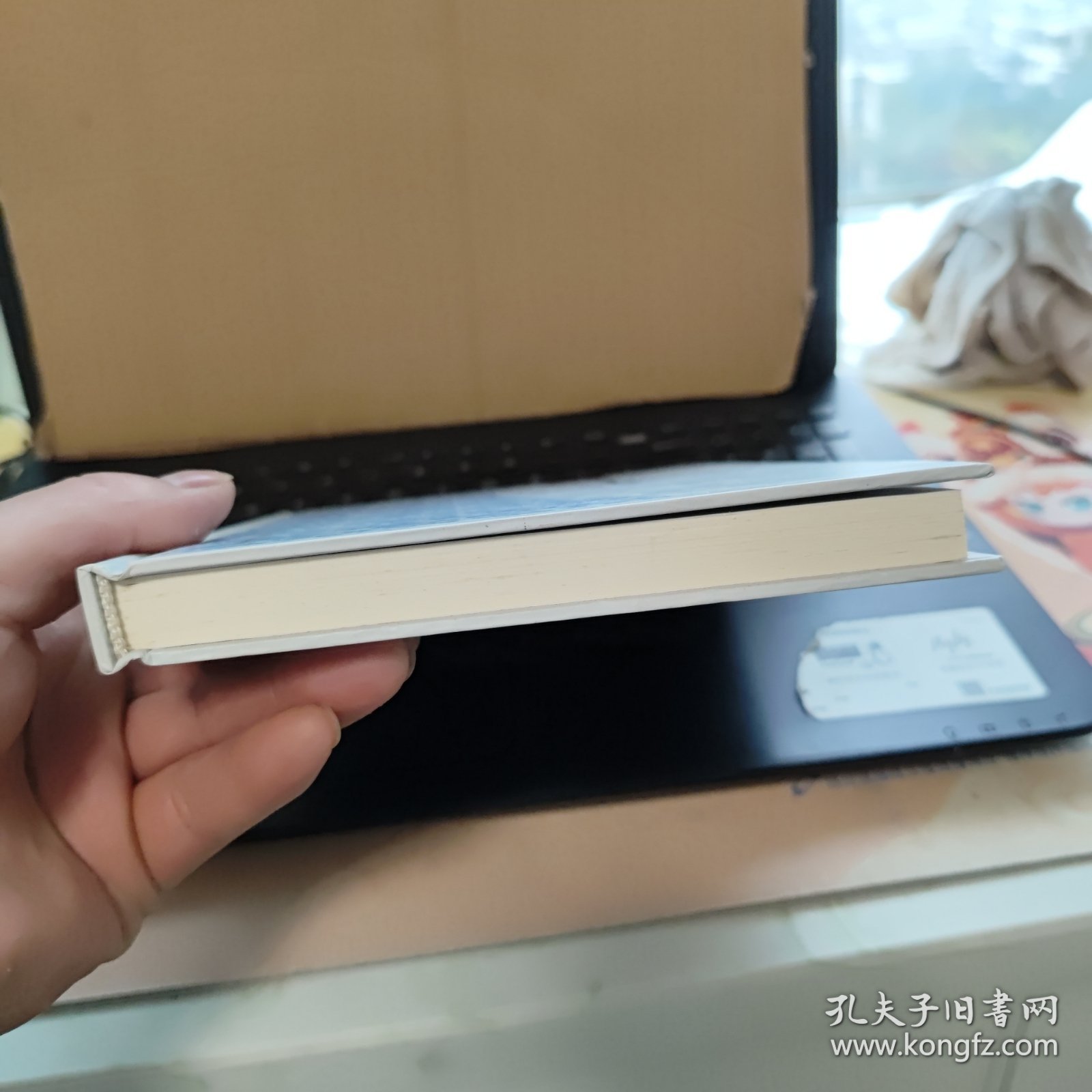 广西地方古籍整理研究丛书：青箱集剩校注（精装本，库存图书，内页全新无笔记，详细目录参照书影）