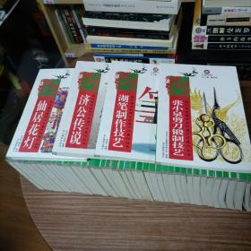 浙江省非物质文化遗产代表作丛书:（第一批全44册）实物拍照图片 2008/9年一版一印