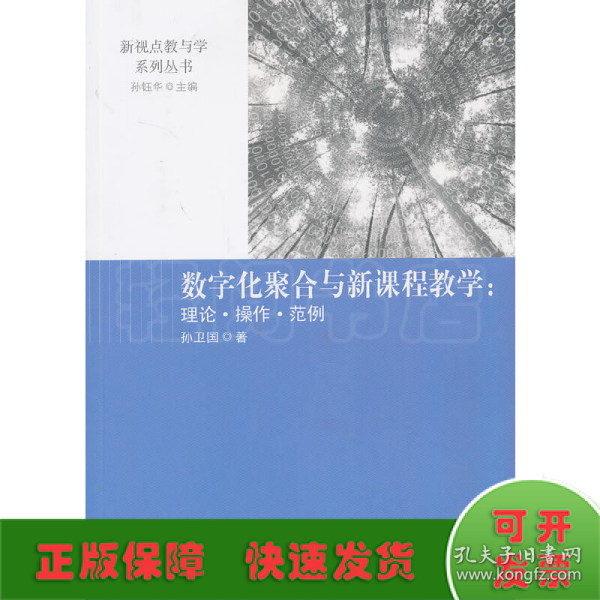 数字化聚合与新课程教学 : 理论·操作·范例