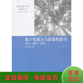 数字化聚合与新课程教学 : 理论·操作·范例