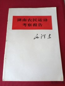 湖南农民运动考察报告。