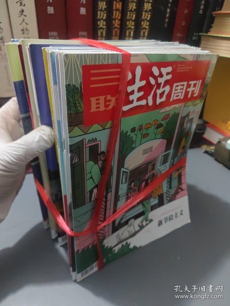 三联生活周刊2022年（30本不重复）