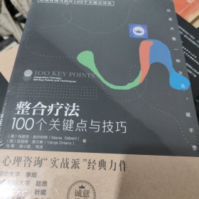 整合疗法：100个关键点与技巧/心理咨询与治疗100个关键点译丛