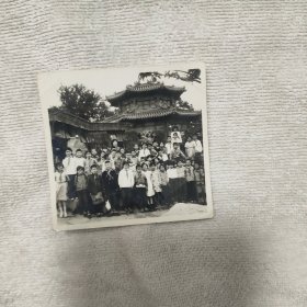 我们是小学生后面有名字品相如图