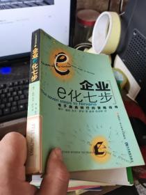 企业E化七步：企业电子商务战略与操作指南（第2册）