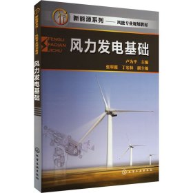保證正版 風(fēng)力發(fā)電基礎(chǔ) 盧為平 9787122101310 化學(xué)工業(yè)出版社