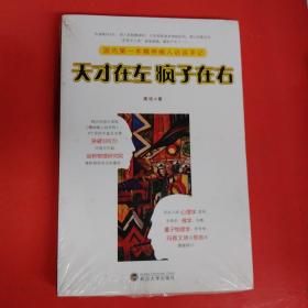 天才在左 疯子在右：国内第一本精神病人访谈手记