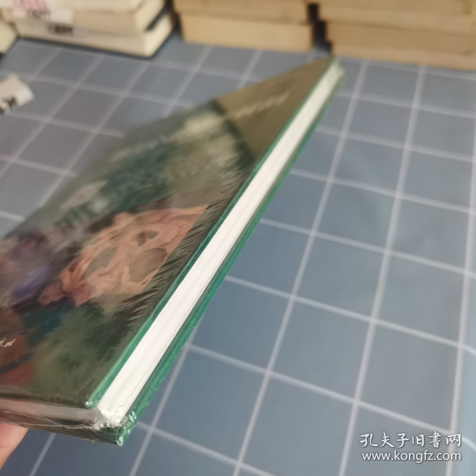 胎儿心脏超声解剖