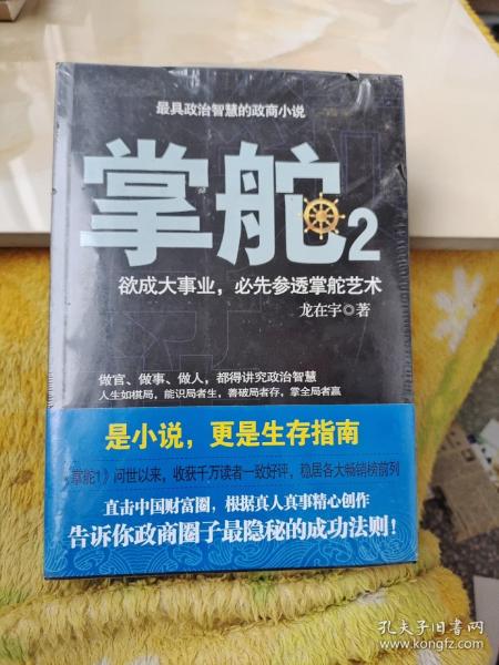 掌舵2：政商圈子生存指南